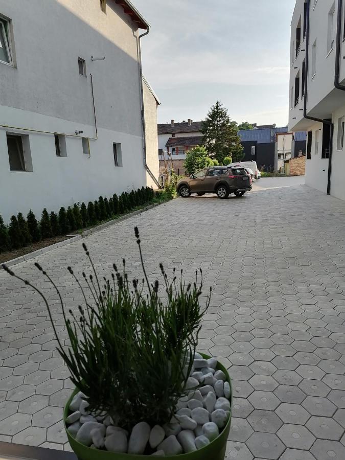 Apartman Stimac Petrovaradin Buitenkant foto